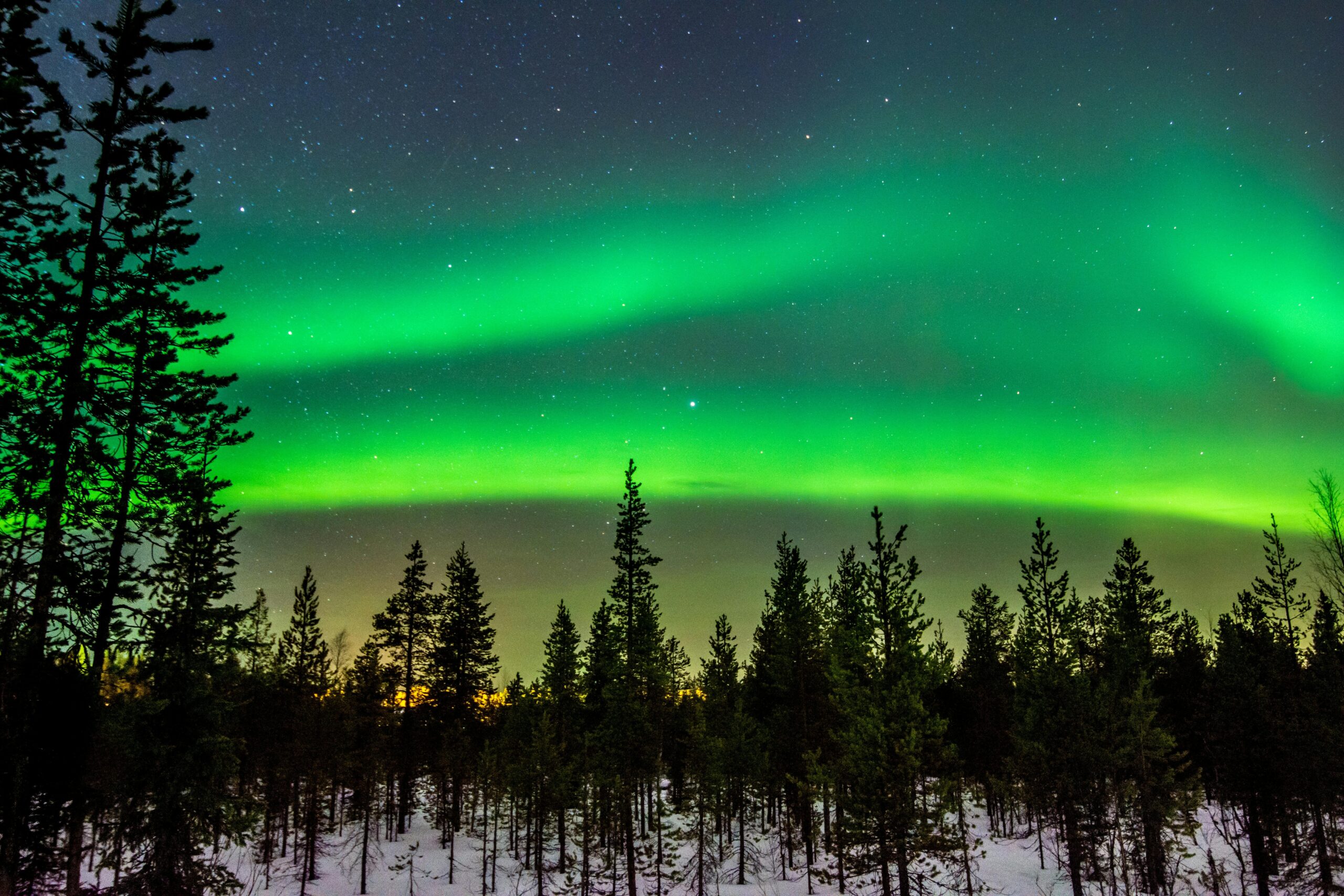 Breathtaking aurora borealis illuminating a serene winter night sky over a tranquil forest landscape.
